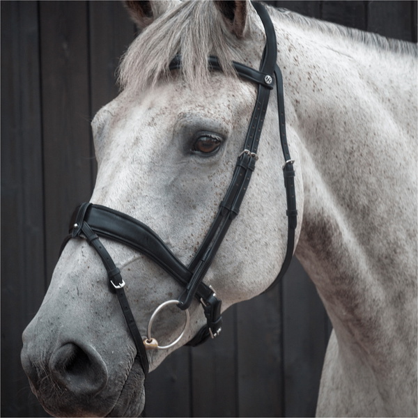 Bride De Dressage HJ-BR-03 - Black